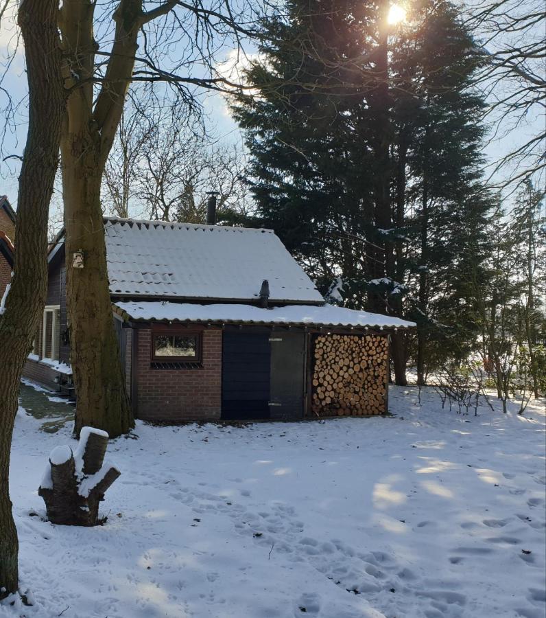 Benb Op De Vleet Vrijstaande Accommodatie Plantage Centrum Esterno foto