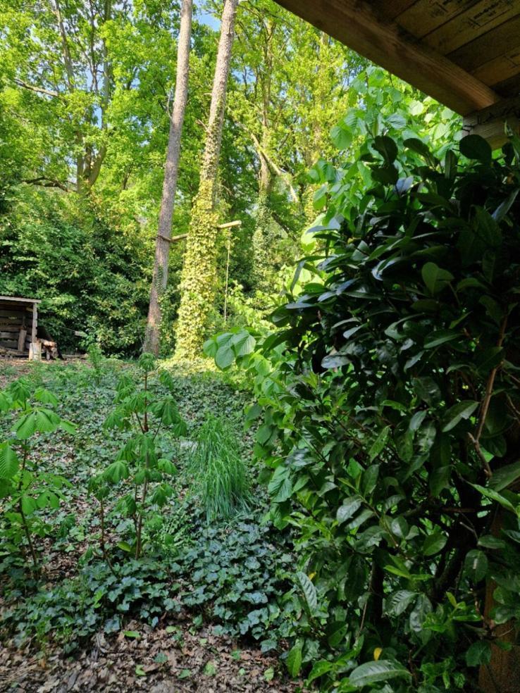 Benb Op De Vleet Vrijstaande Accommodatie Plantage Centrum Esterno foto